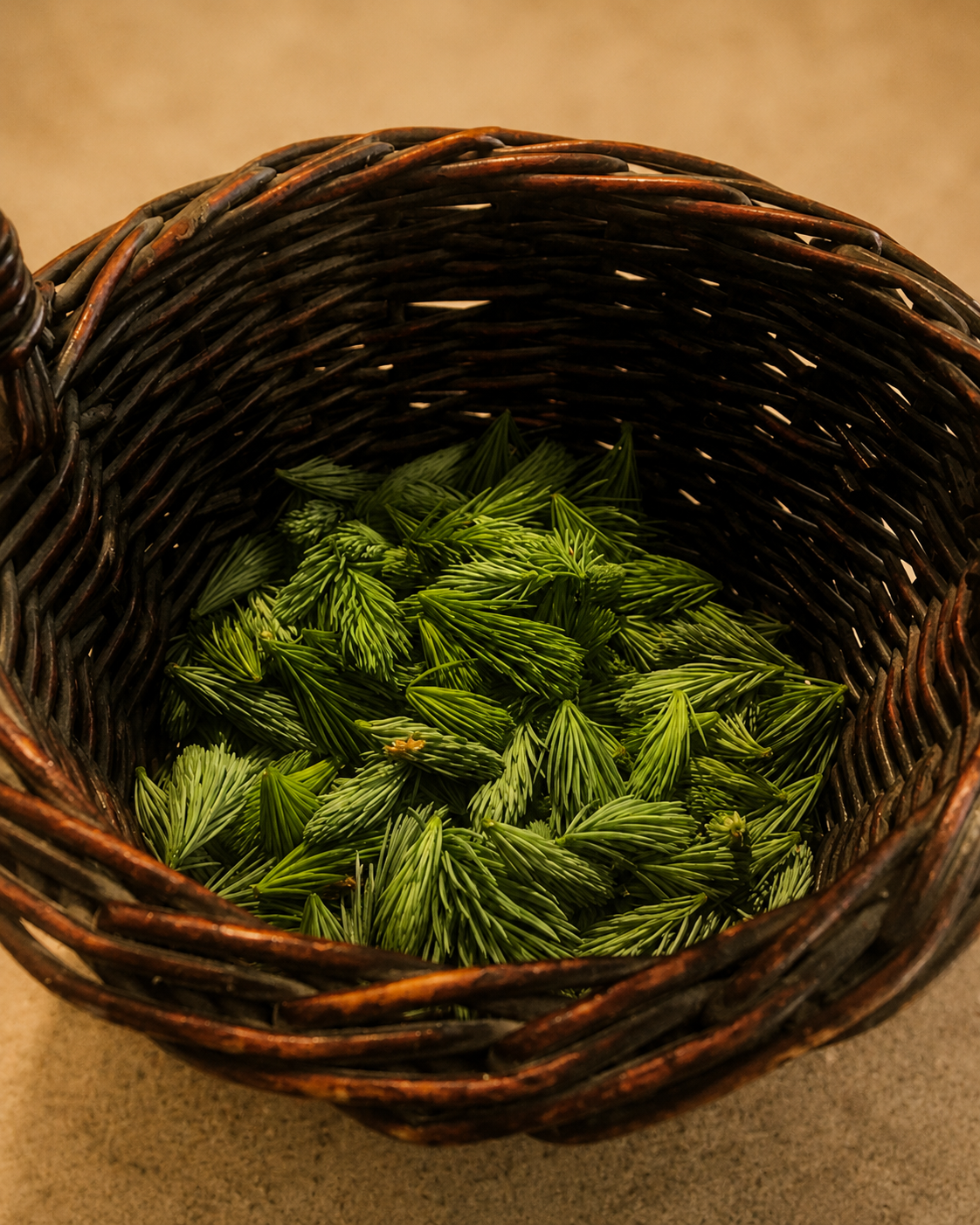 Wild Spruce tip caramels|  Pacific Northwest Small Batch Caramels