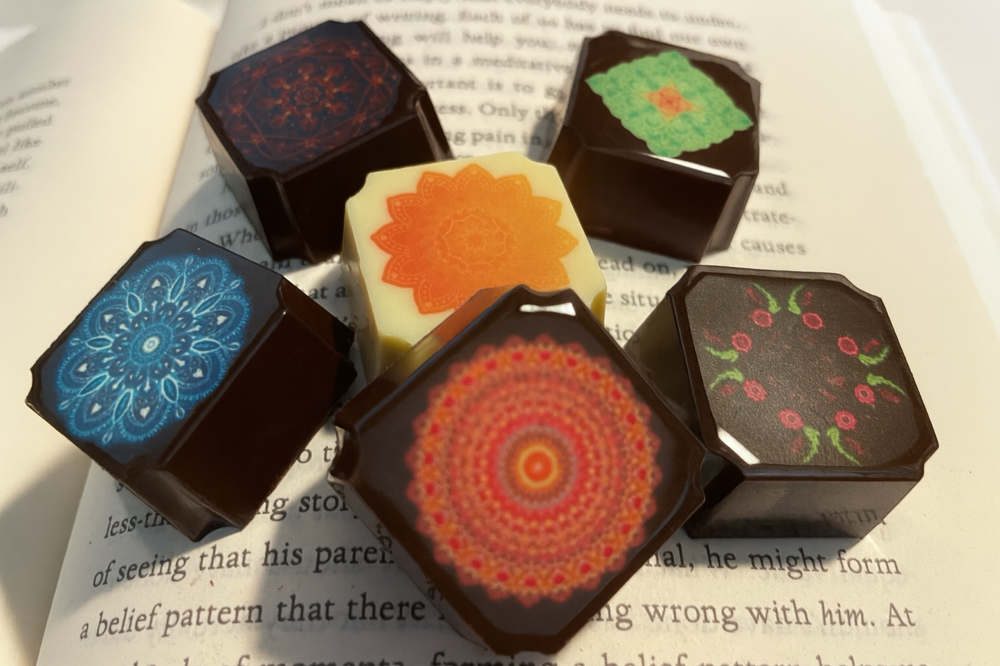 Artisan Chocolate Bonbons- Signature Collection -6 piece gift box